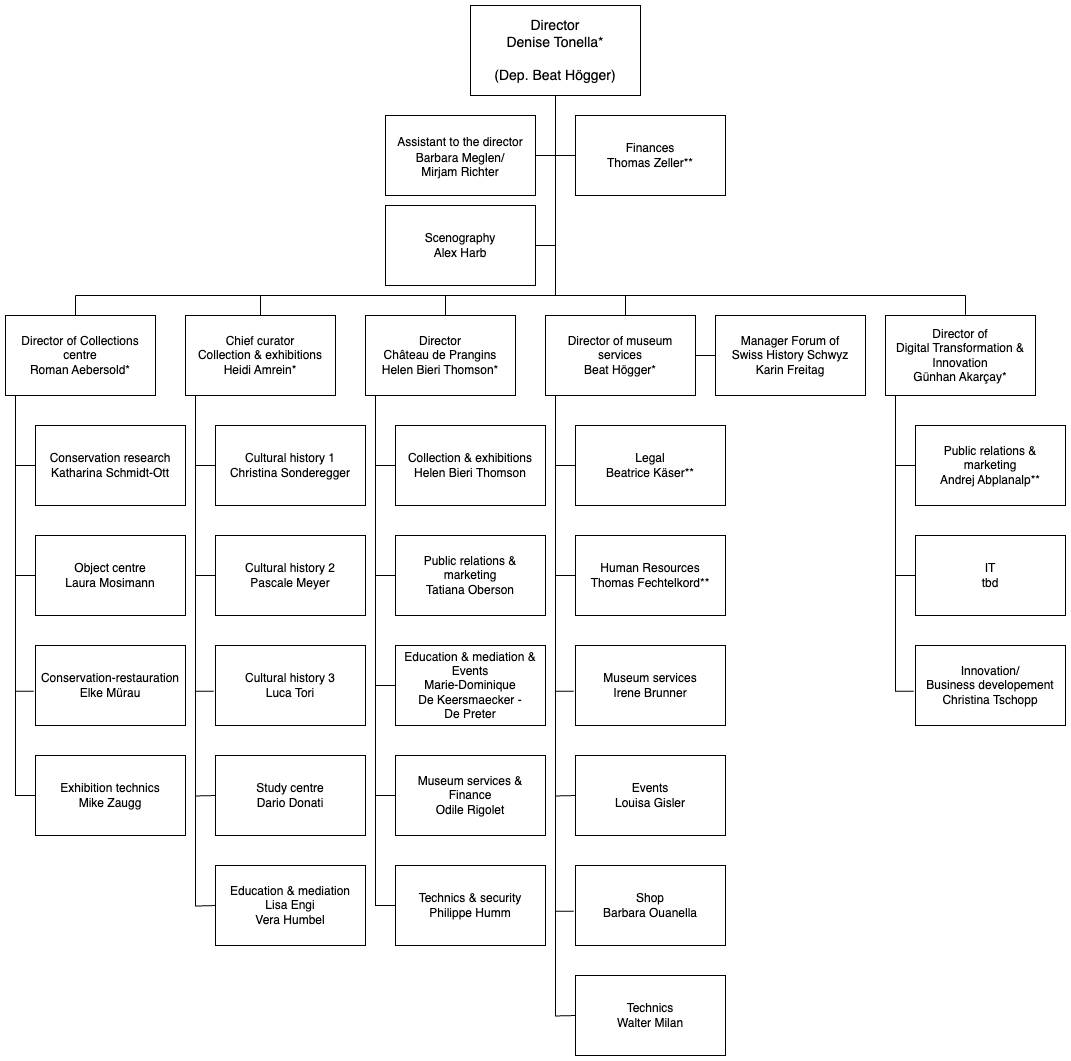 Museum Organizational Chart