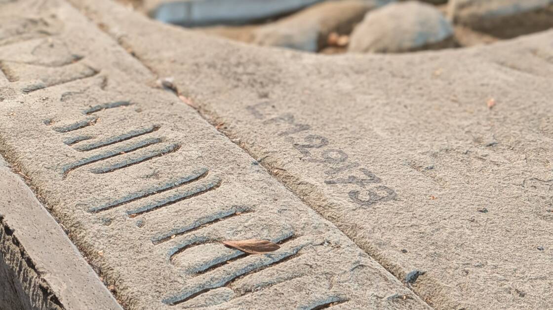 Das Bild zeigt die Oberfläche einer Grabplatte mit Familienwappen, wo sich in den Vertiefungen der Schrift allerlei Schmutz wie Blätter, Federn und Staub befinden. | © Schweizerisches Nationalmuseum, Zürich